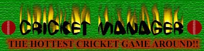 Cricket Manager Logo Entry