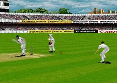 Brian Lara Cricket Screenshot