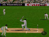 Brian Lara Cricket PSX Thumbnail