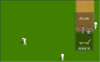 Graham Gooch World Class Cricket Screenshot