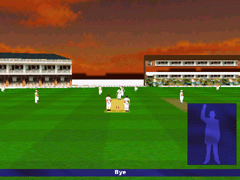 International Cricket Challenge Screenshot