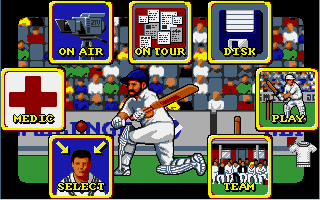 World Cricket Screenshot