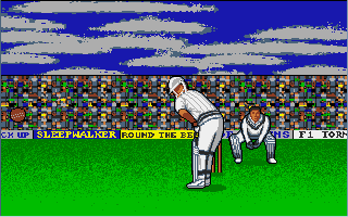 World Cricket Screenshot
