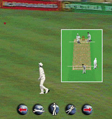 World Cricket 2000 Screenshot
