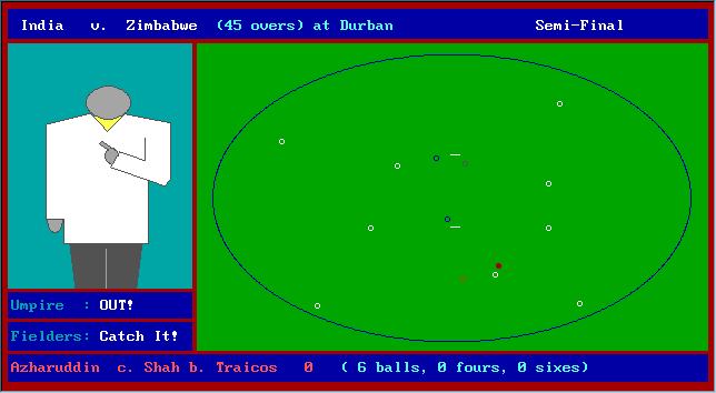 World Cup Cricket Screenshot