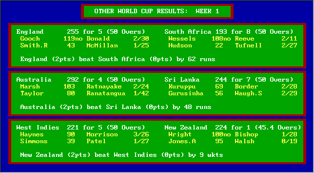 World Cup Cricket Screenshot