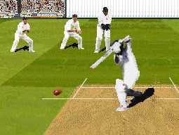 Cricket Screenshot