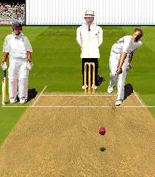 Cricket Screenshot