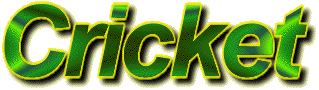 Cricket Logo