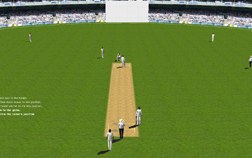 Cricket Screenshot