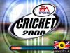 Cricket 2000 Screeshot by GameSpot