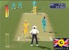 Cricket 2000 Screeshot by GameSpot